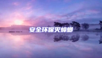 安全環保滅蟑螂