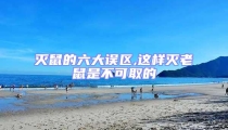 滅鼠的六大誤區,這樣滅老鼠是不可取的