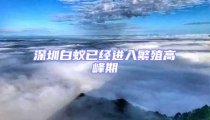 深圳白蟻已經(jīng)進(jìn)入繁殖高峰期