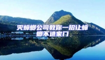 滅蟑螂公司教你一招讓蟑螂不進家門