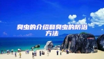 臭蟲的介紹和臭蟲的防治方法