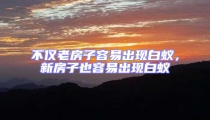 不僅老房子容易出現白蟻,新房子也容易出現白蟻