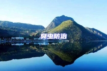 臭蟲(chóng)防治