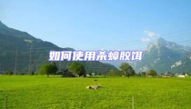 如何使用殺蟑膠餌