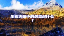 生物滅蟑中的病毒是什么?