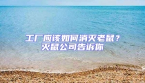 工廠應該如何消滅老鼠?滅鼠公司告訴你