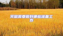 滅鼠需要做好哪些準備工作