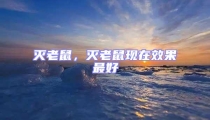滅老鼠,滅老鼠現(xiàn)在效果最好