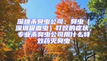深圳殺臭蟲公司:臭蟲(深圳吸血蟲)叮咬的癥狀,專業殺臭蟲公司用什么特效藥滅臭蟲