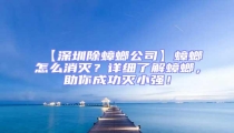 【深圳除蟑螂公司】蟑螂怎么消滅?詳細了解蟑螂,助你成功滅小強!