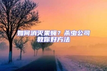 如何消滅果蠅？殺蟲公司教你好方法