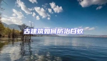古建筑如何防治白蟻