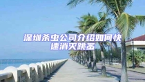 深圳殺蟲公司介紹如何快速消滅跳蚤