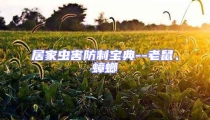 居家蟲害防制寶典--老鼠、蟑螂