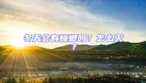 冬天會(huì)有蟑螂嗎?怎么滅?