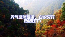 天氣逐漸回暖,白蟻又開(kāi)始猖狂了!