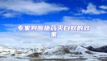 專家判斷施藥滅白蟻的效果