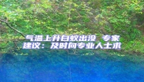 氣溫上升白蟻出沒 專家建議:及時(shí)向?qū)I(yè)人士求