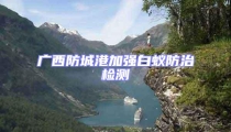 廣西防城港加強(qiáng)白蟻防治檢測