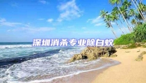 深圳消殺專業(yè)除白蟻