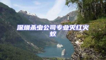 深圳殺蟲公司專業滅紅火蟻