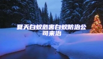 夏天白蟻危害白蟻防治公司來治