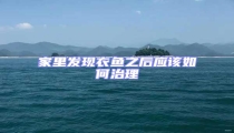 家里發現衣魚之后應該如何治理