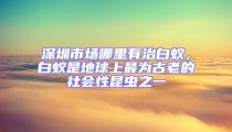 深圳市場(chǎng)哪里有治白蟻,白蟻是地球上最為古老的社會(huì)性昆蟲(chóng)之一