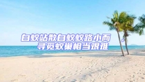 白蟻站散白蟻蟻路小而骫骳,尋覓蟻巢相當艱難