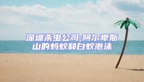 深圳殺蟲公司;阿爾卑斯山的螞蟻和白蟻泡沫
