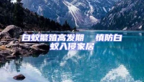 白蟻繁殖高發期  慎防白蟻入侵家居