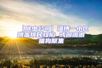 【除蟲公司】淄博一小區(qū)跳蚤擾民攻陷 或因流浪貓狗聚集