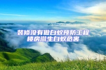 裝修沒有做白蟻預(yù)防工程樓房滋生白蟻危害