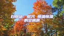 白蟻站:蟻穴 恒溫恒濕的空調(diào)房