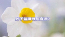 蚊子如何尋找血源?