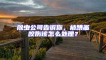 除蟲公司告訴你，被跳蚤咬傷該怎么處理？