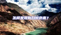 怎樣發現有白蟻危害?