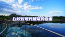 白蟻對現代建筑的危害