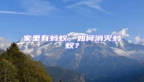 家里有螞蟻,如何消滅螞蟻?