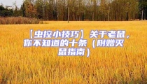 【蟲控小技巧】關(guān)于老鼠,你不知道的十條(附贈滅鼠指南)