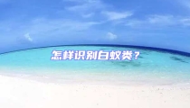怎樣識別白蟻類?