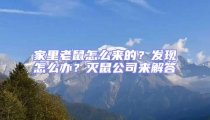 家里老鼠怎么來的?發現怎么辦?滅鼠公司來解答