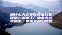 是什么方式導致臭蟲的蔓延呢?深圳工廠宿舍專業殺臭蟲、宿舍滅臭蟲蟑螂