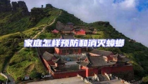 家庭怎樣預防和消滅蟑螂