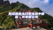 防范鼠害從日常生活中做起,滅老鼠公司