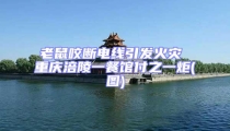 老鼠咬斷電線引發火災 重慶涪陵一餐館付之一炬(圖)