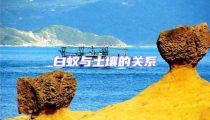 白蟻與土壤的關(guān)系