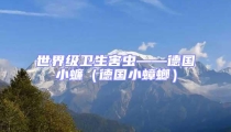 世界級衛生害蟲——德國小蠊(德國小蟑螂)
