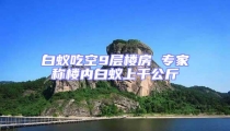白蟻吃空9層樓房 專家稱樓內白蟻上千公斤