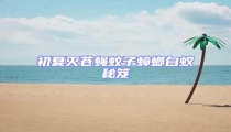 初夏滅蒼蠅蚊子蟑螂白蟻秘笈